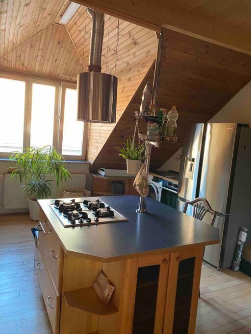 Rooftop 180M2 Loft With Private Sauna, Bratislava Exterior photo